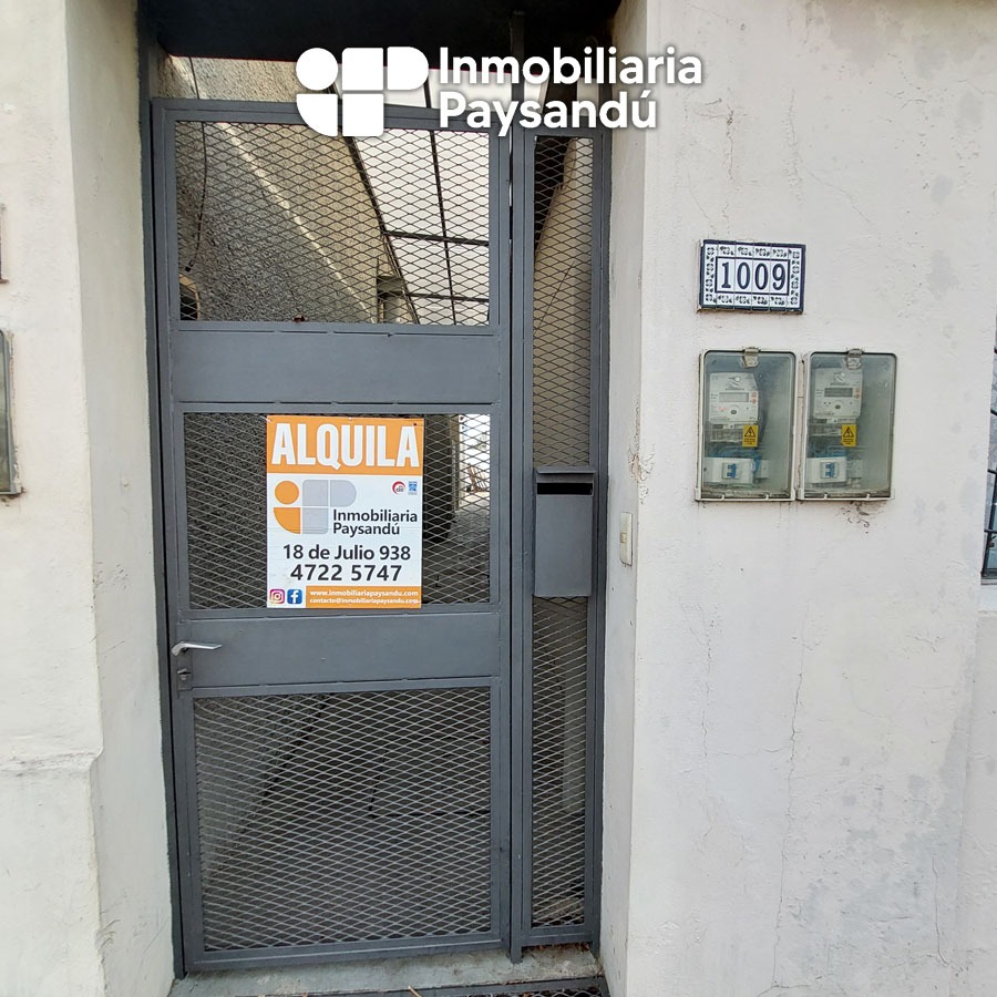 plantilla WEB