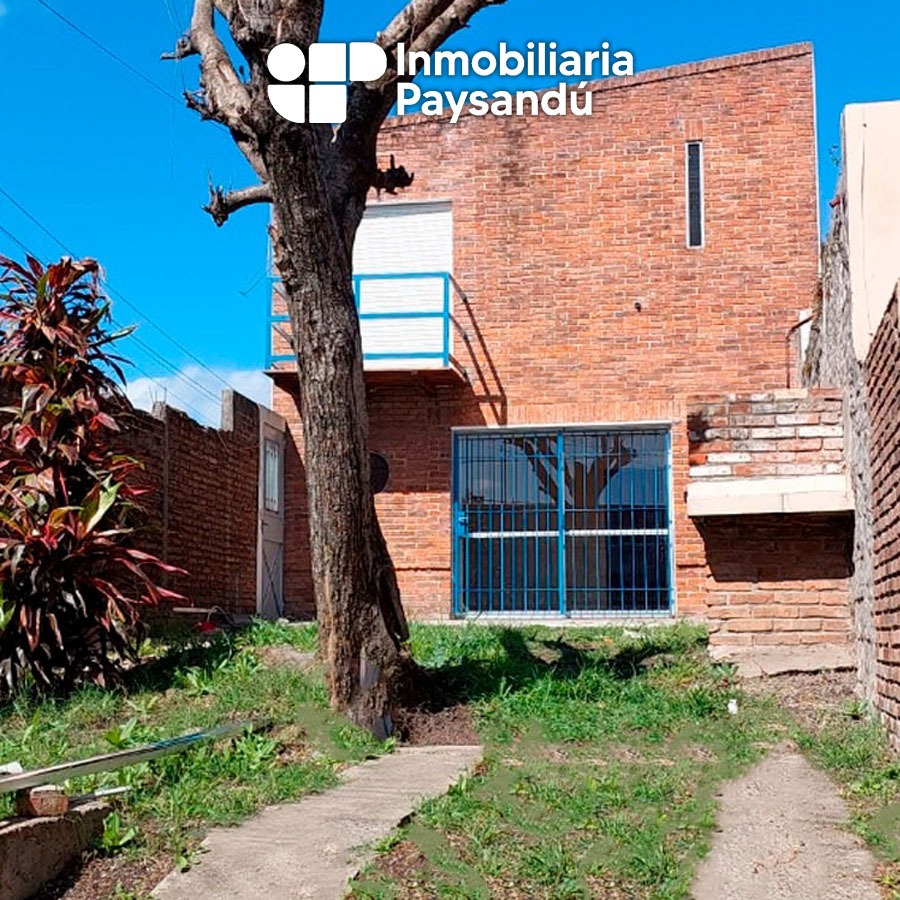 plantilla WEB