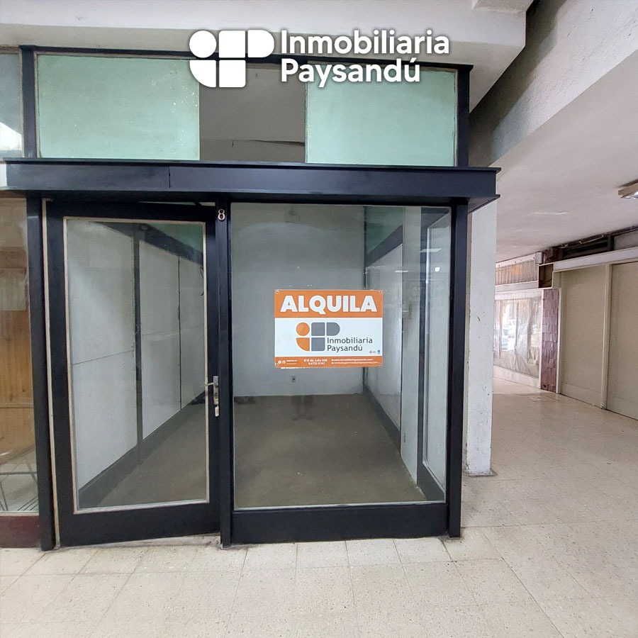 plantilla WEB