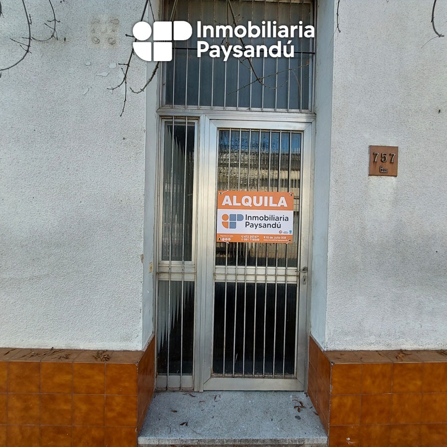 plantilla WEB