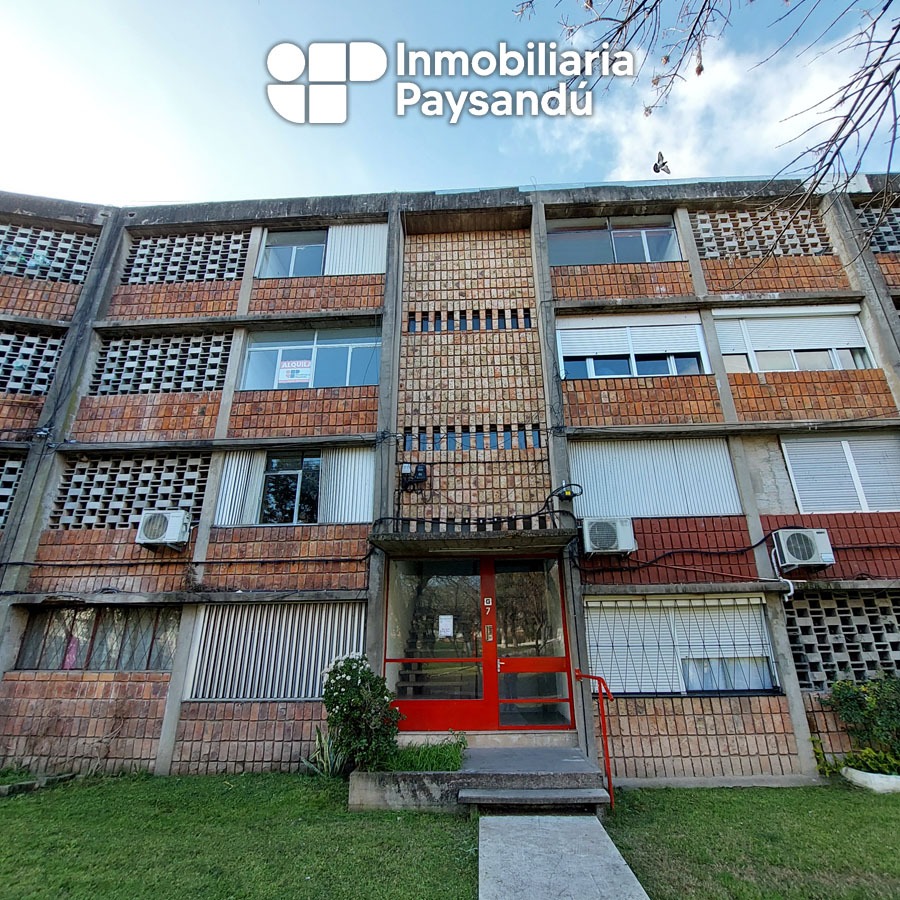 plantilla WEB