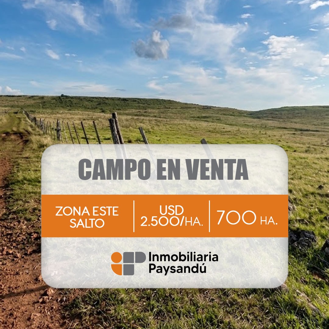 SALTO ZONA ESTE
