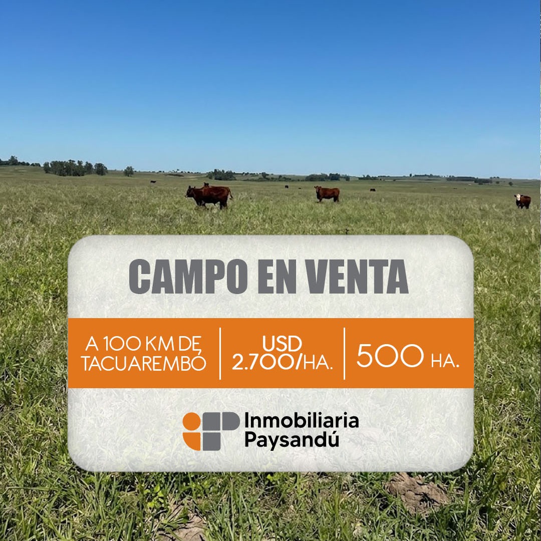 TAMBORES