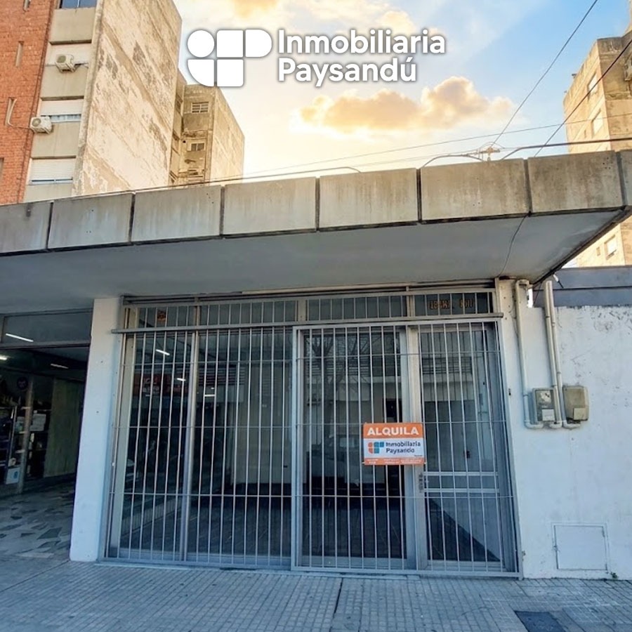 plantilla WEB-Recuperado