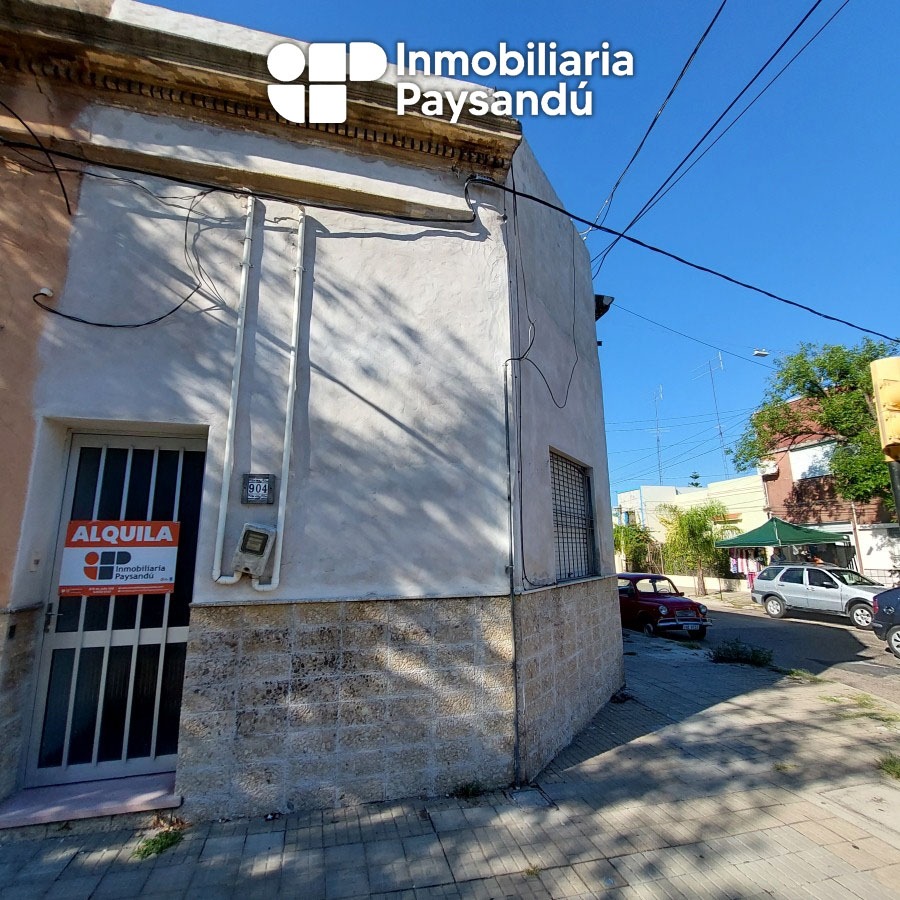 plantilla WEB