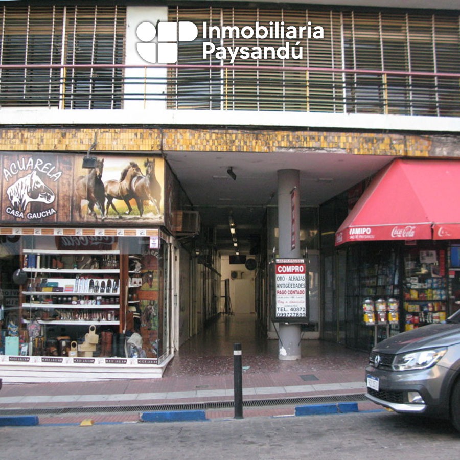 plantilla WEB